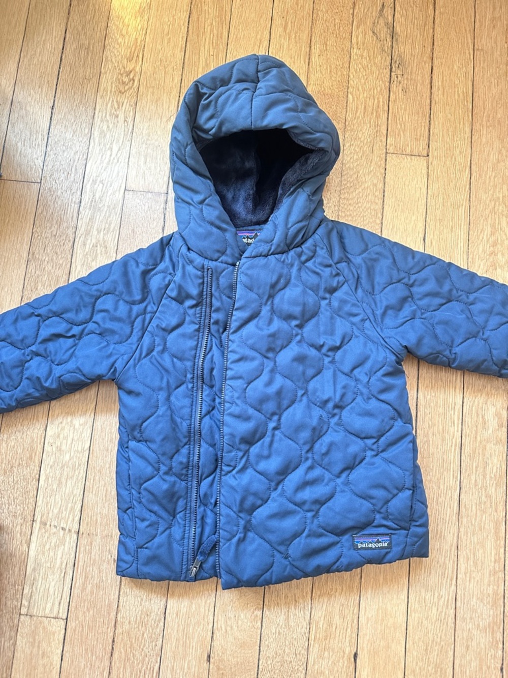 Patagonia Quilted Hooded Jacket in Blue